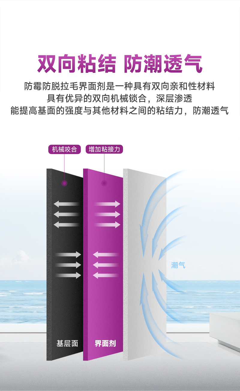 头号玩家官网-相信品牌力量