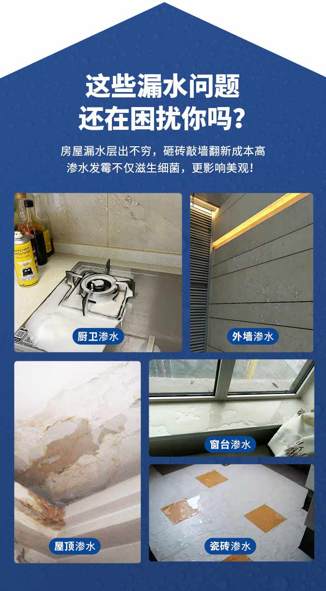 头号玩家官网-相信品牌力量